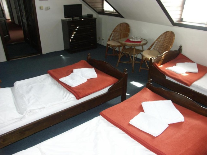 Standard Triple room