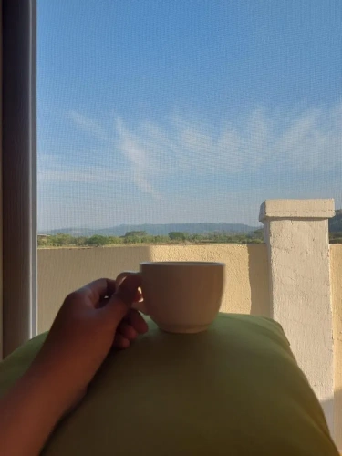 Deluxe Double room with garden view