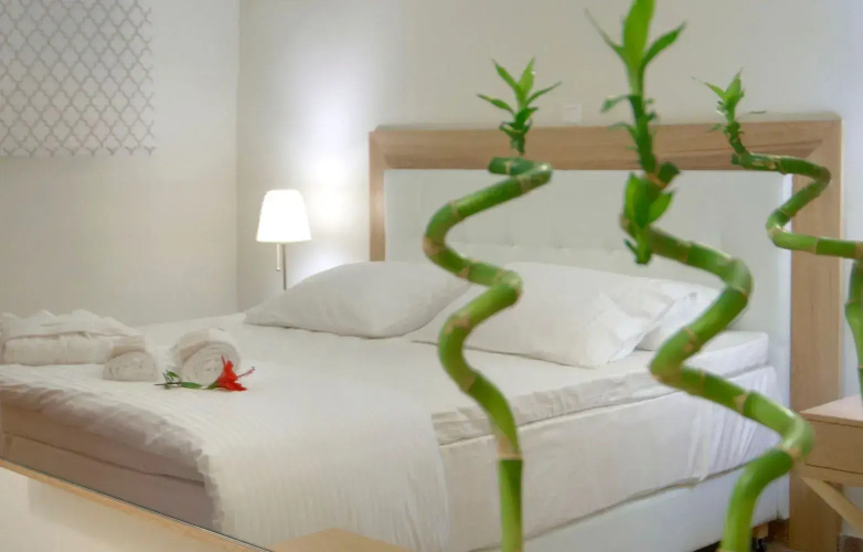 Blue Horizon Suites