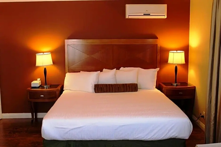 Deluxe Suite with view