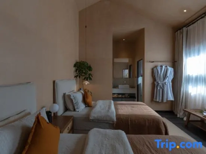 Standard Double room with mountain view
