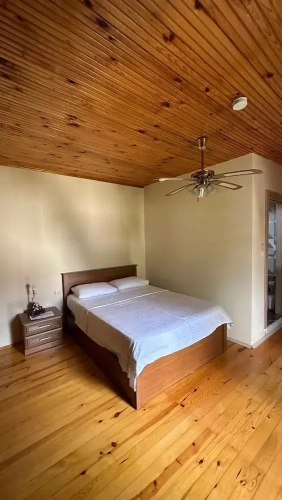 Premium Villa