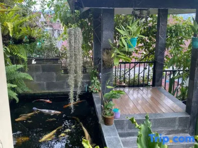 MOZA HOUSE Wonosobo
