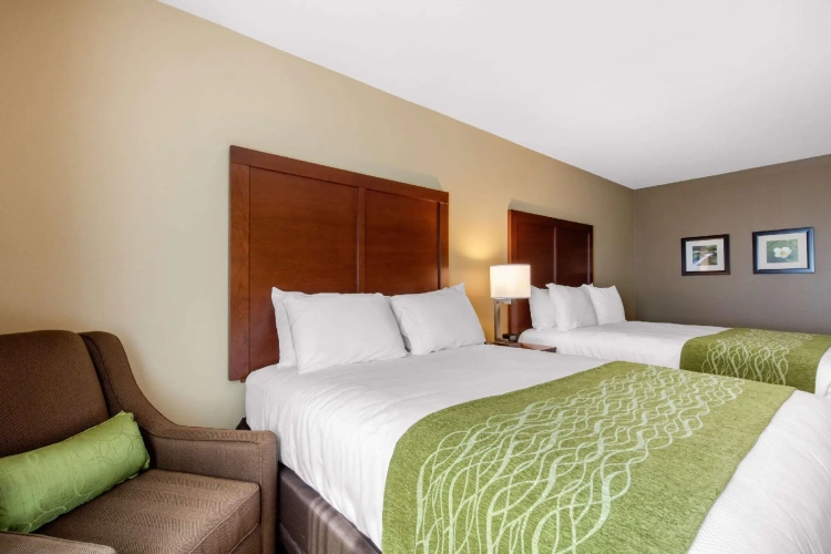 Standard Quadruple room