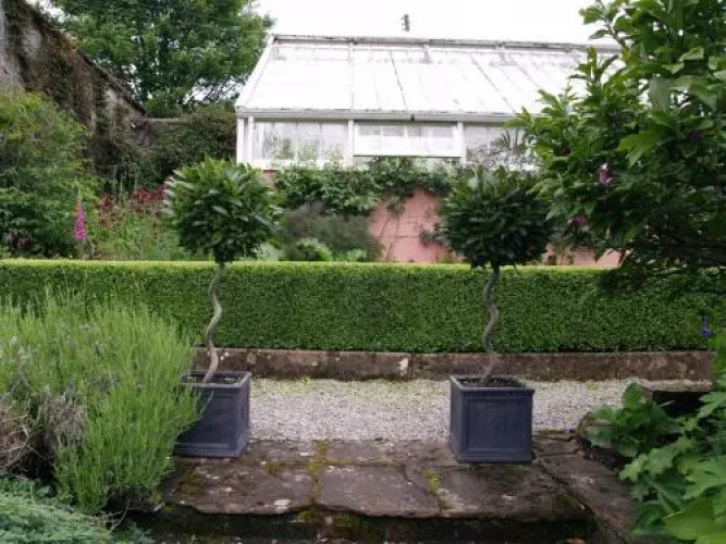 The Garden Studio
