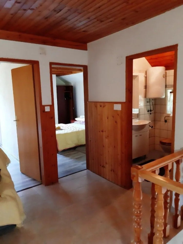 Holiday House Stipe