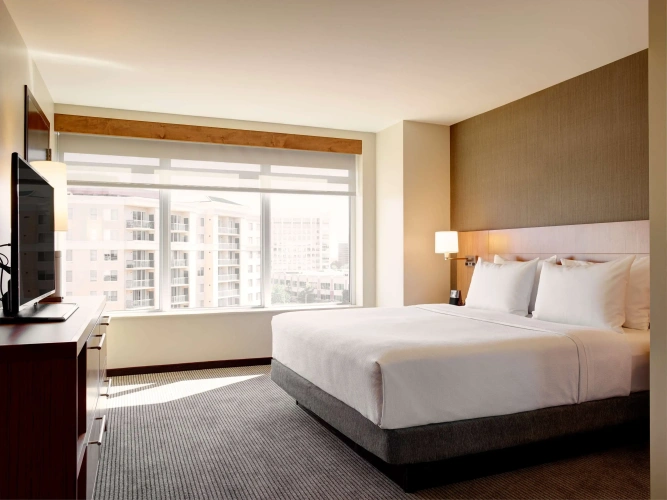 1 Bedroom Double Suite