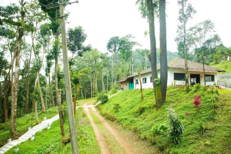 The Nest Bettathur Coorg