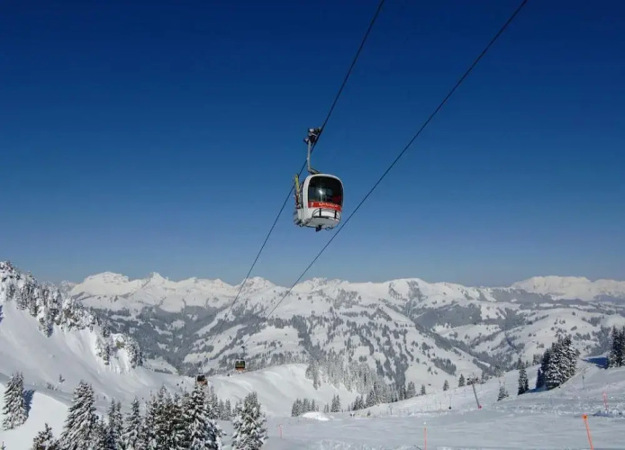 Contemporary Swiss Escape