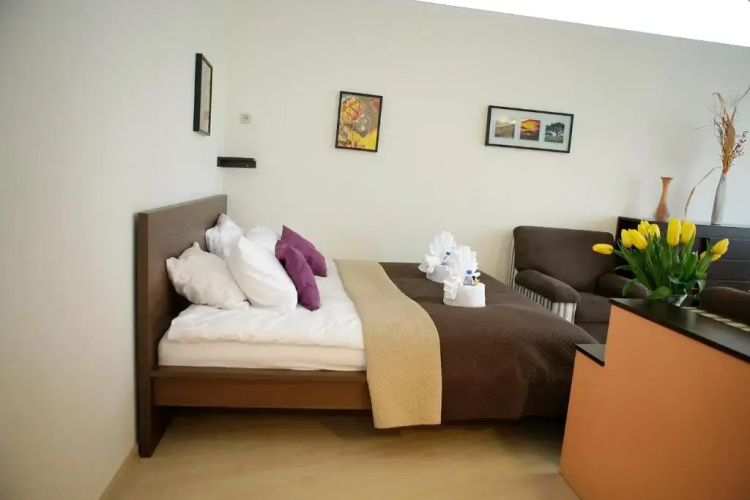 Magnetic apartment Mehoffera