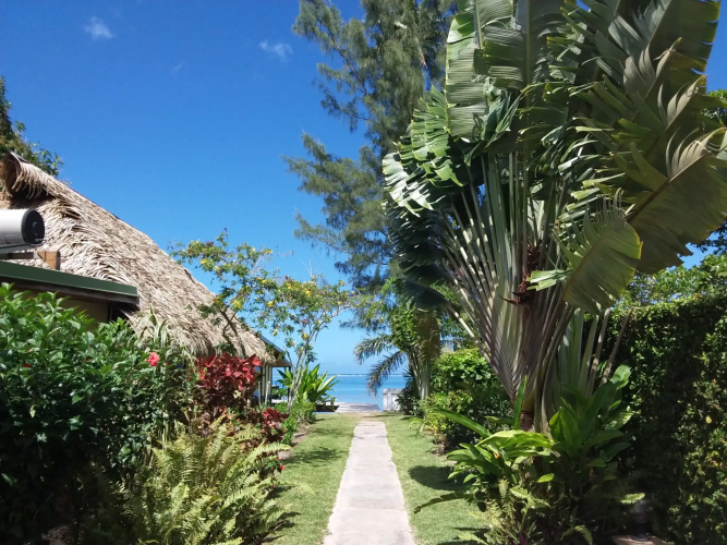 Linareva Moorea