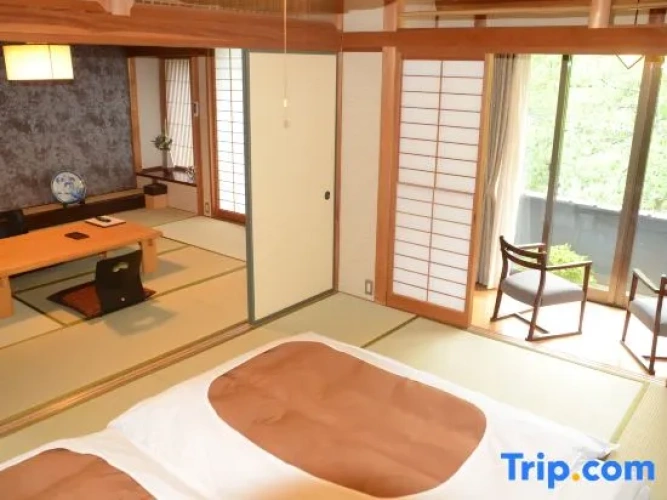 Standard room with river view