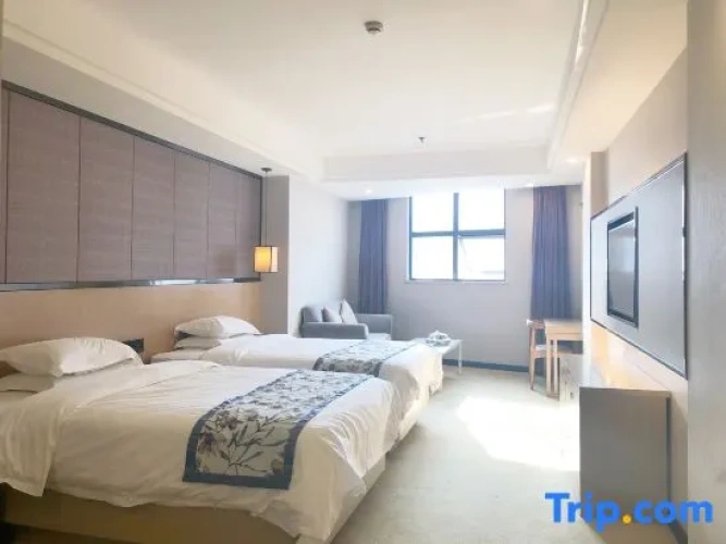 Standard Twin room with city view