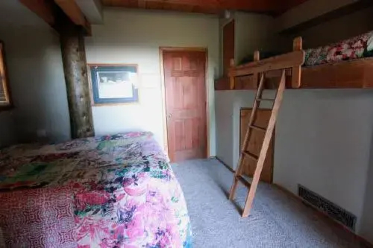 Tree House Lodge