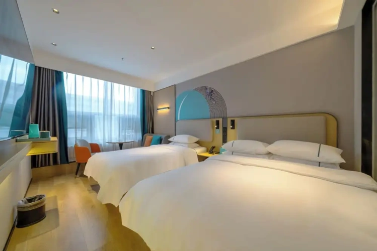 Standard Double room with city view