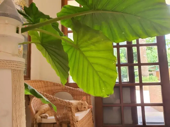 Hotel Riomar