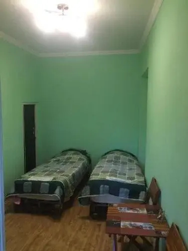 Hostel Temuri