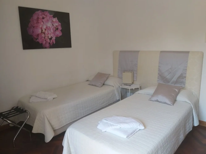 Classic Double room with balcony and with garden view