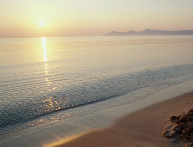 JS Sol de Alcudia photo 20