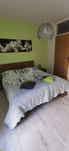 Lilikoi Apartment