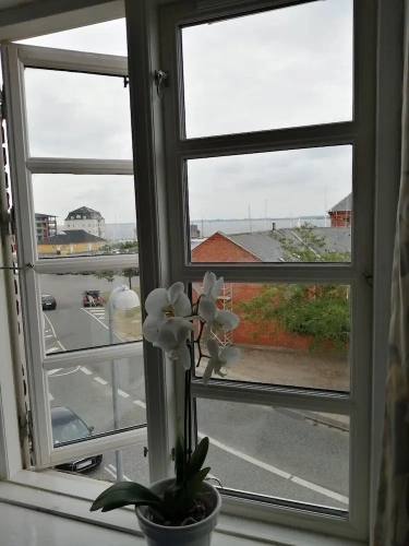 Classic Double room with ocean view