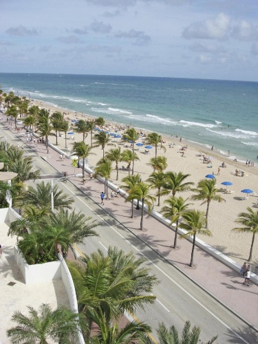 Hilton Fort Lauderdale Marina photo 29