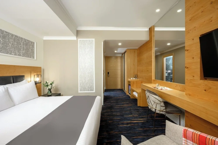Deluxe Double room