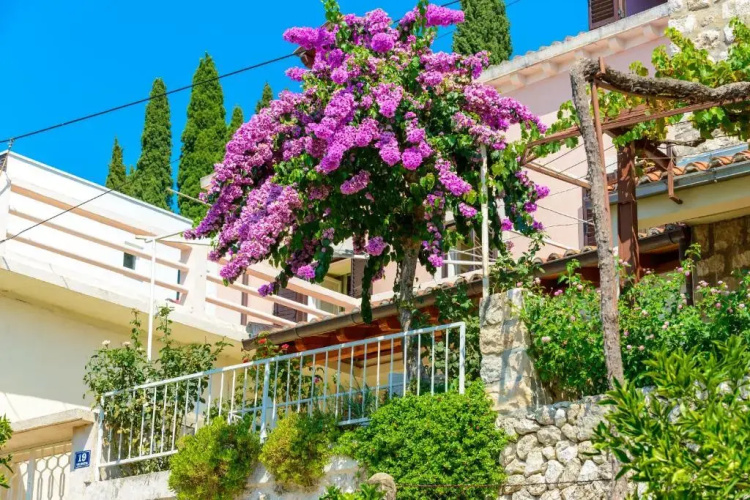Seaside Villas Eli