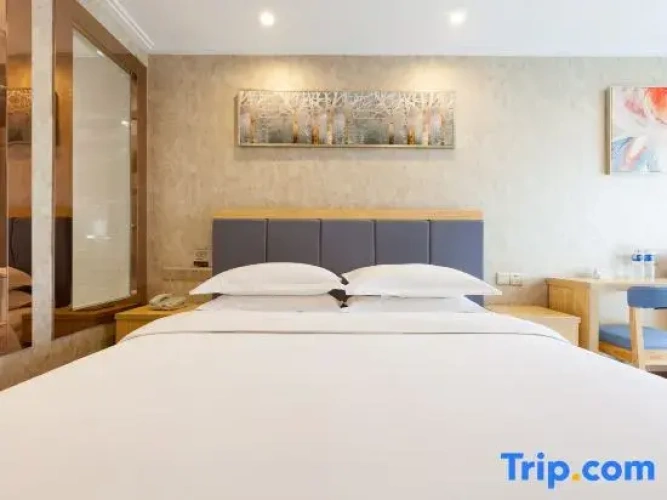 Business Double room with street view