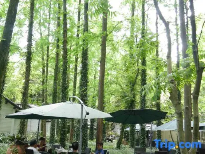 Lotus Glade Hotel