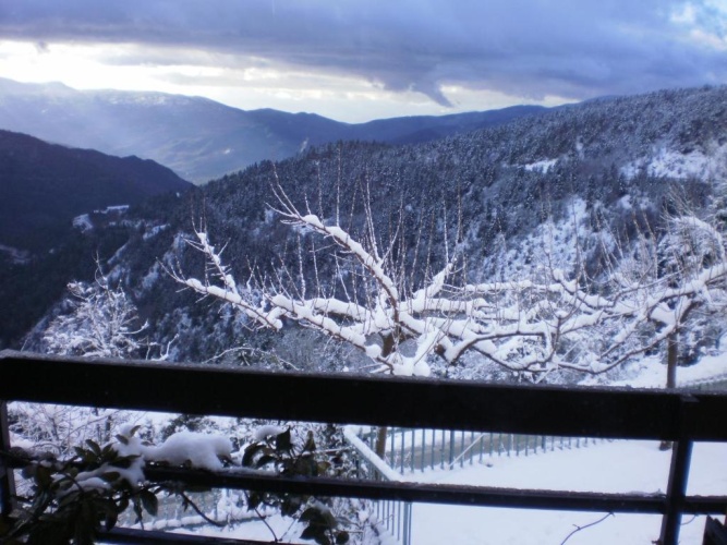 Standard Double room with balcony and with view