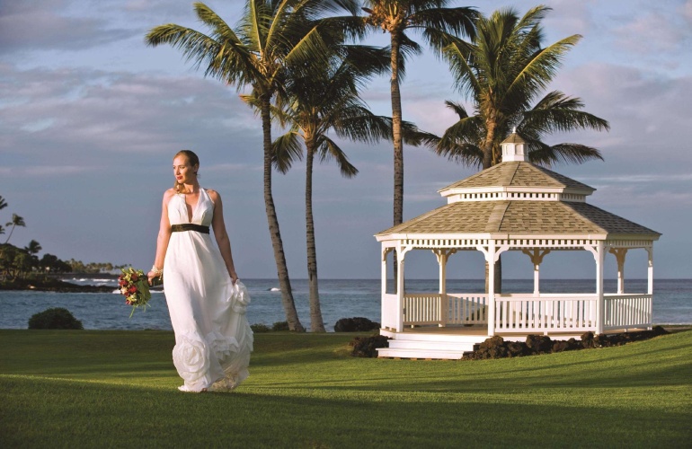 Fairmont Orchid photo 33