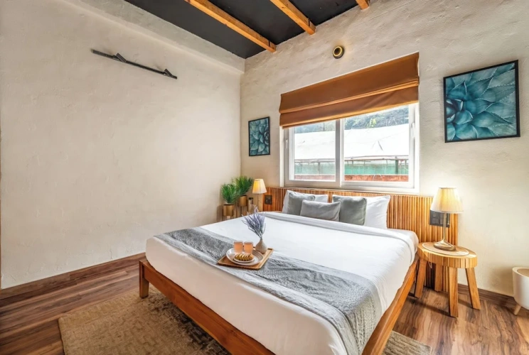 Deluxe Villa