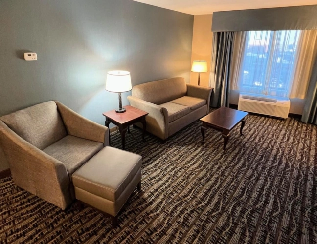 1 Bedroom Suite