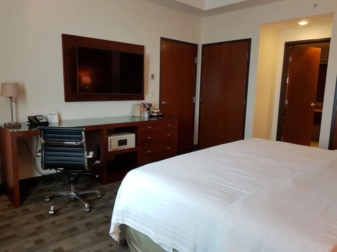 1 Bedroom Suite