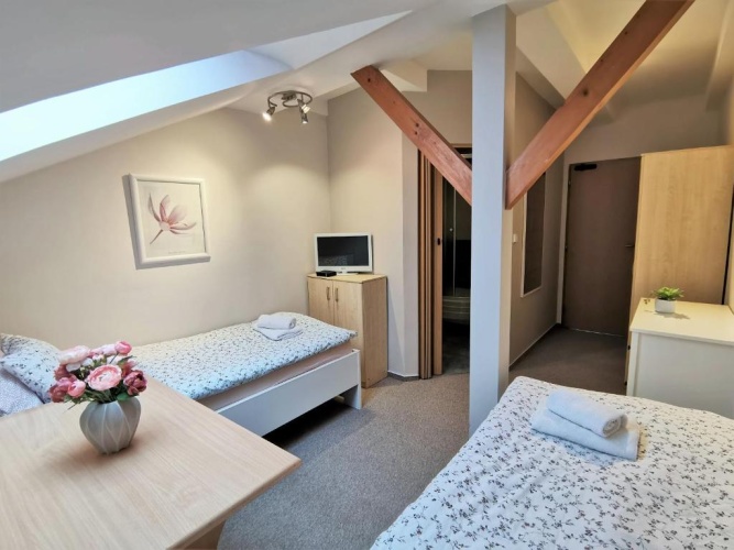 Standard Double room