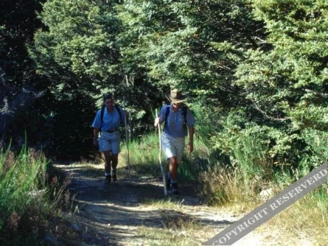 Grasmere Lodge Over view