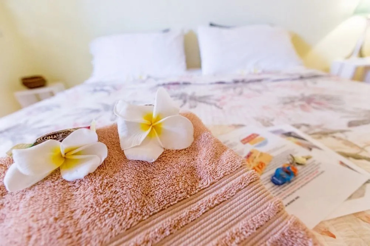 Nalu Kai Lodge