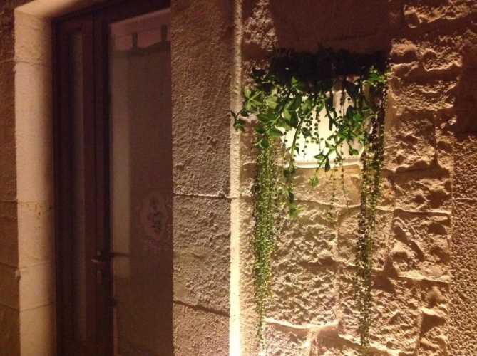Duplex Suite