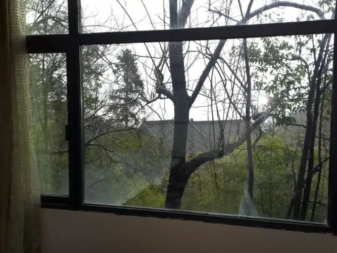 Wudangshan Dayue Hotel