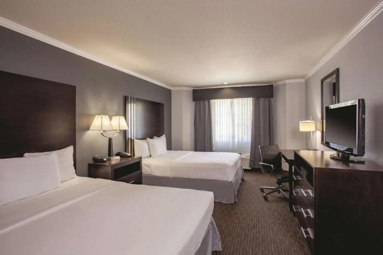 Standard Quadruple room with view