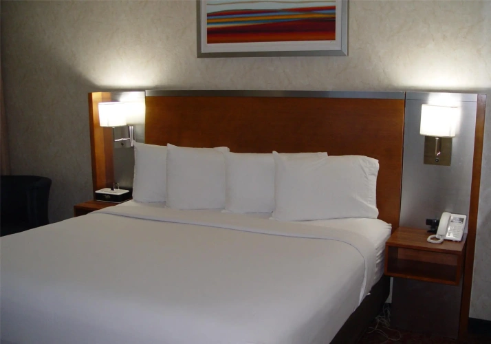 Standard Double room with courtyard view