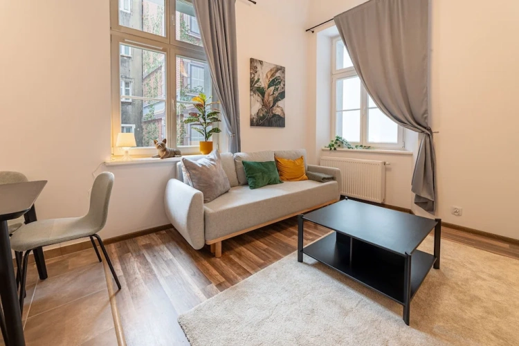 1 Bedroom Comfort Apartment
