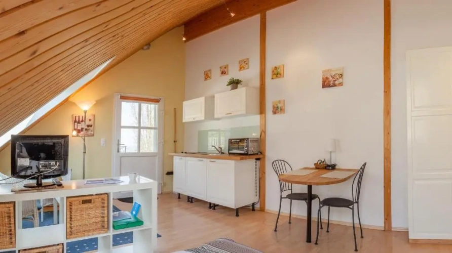 Standard Twin room with garden view