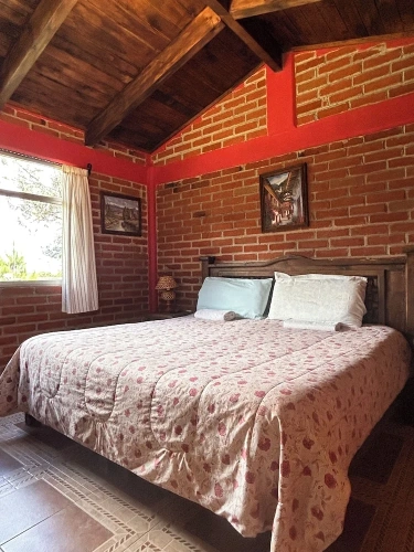 Comfort Suite