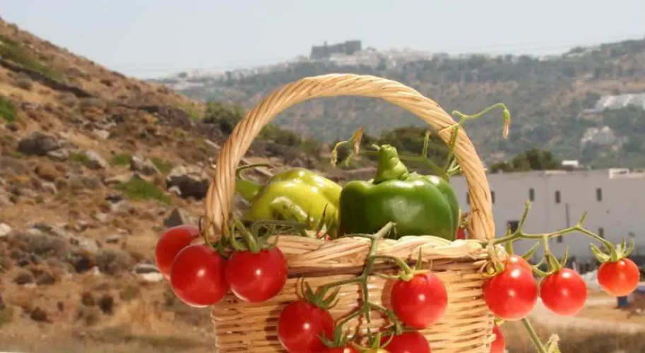 Stefanos Studios