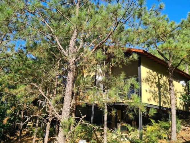 Superior Bungalow