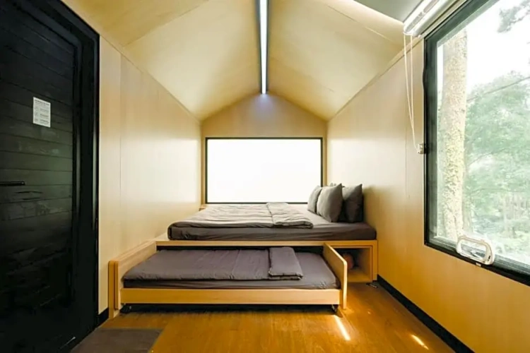 Standard Family room