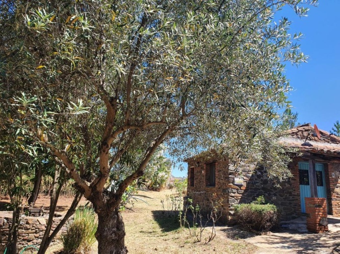 1 Bedroom Cottage