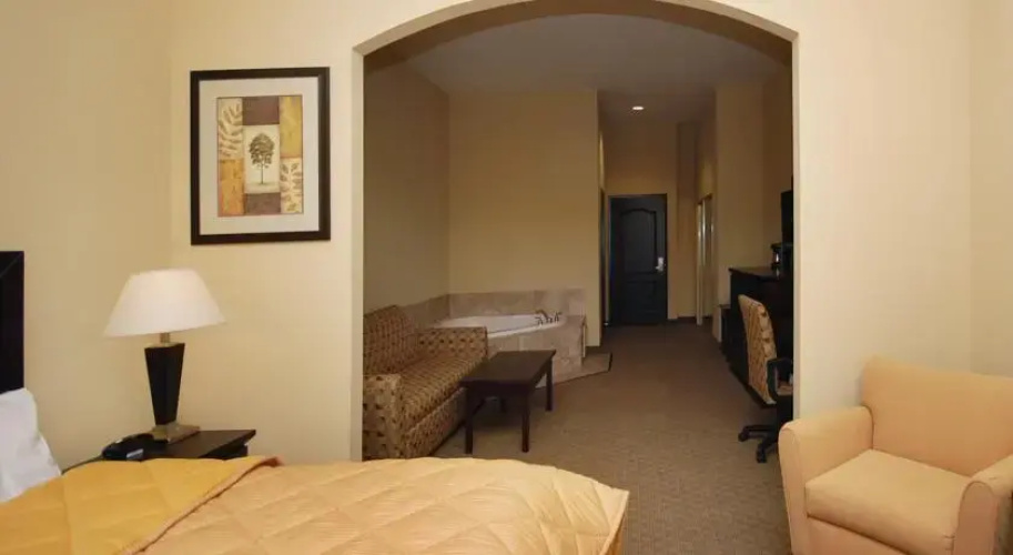 Comfort Inn & Suites Downtown